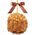 Macadamia Coconut Caramel Apple w/ Belgian Dark Chocolate